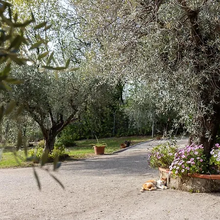 La Tana Delle Stelle Di Charme E Relax Fara in Sabina