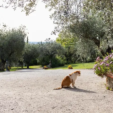 La Tana Delle Stelle Di Charme E Relax 3* Fara in Sabina