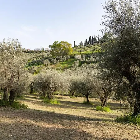 La Tana Delle Stelle Di Charme E Relax Bed & Breakfast Fara in Sabina